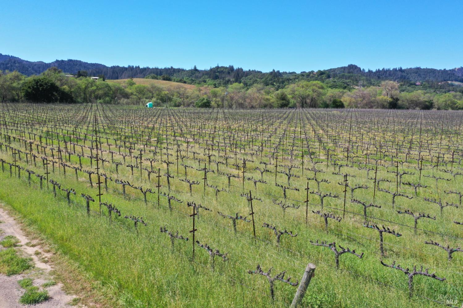 4304 Dry Creek Road Healdsburg, CA 95448 - Photo 35 of 59