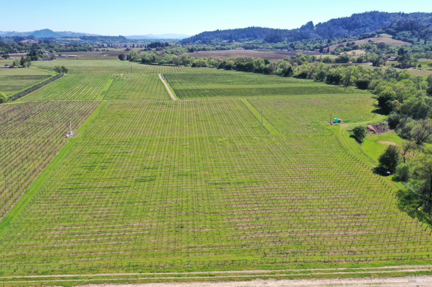 4304 Dry Creek Road Healdsburg, CA 95448 - Photo 37 of 59