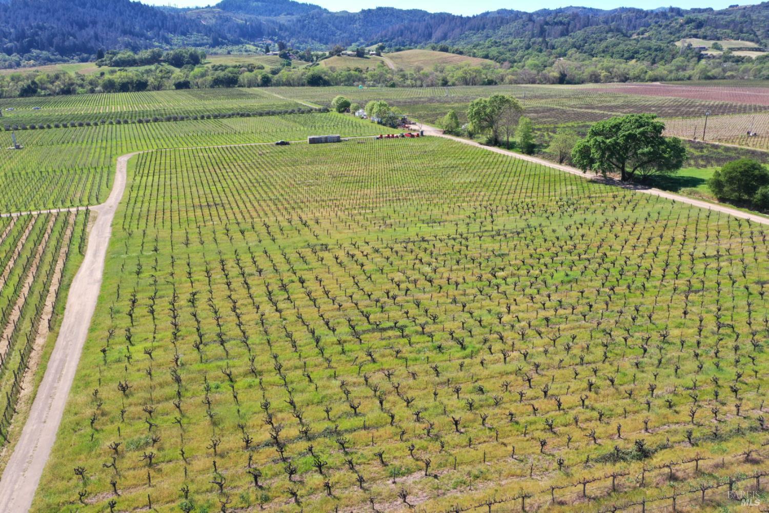 4304 Dry Creek Road Healdsburg, CA 95448 - Photo 42 of 59