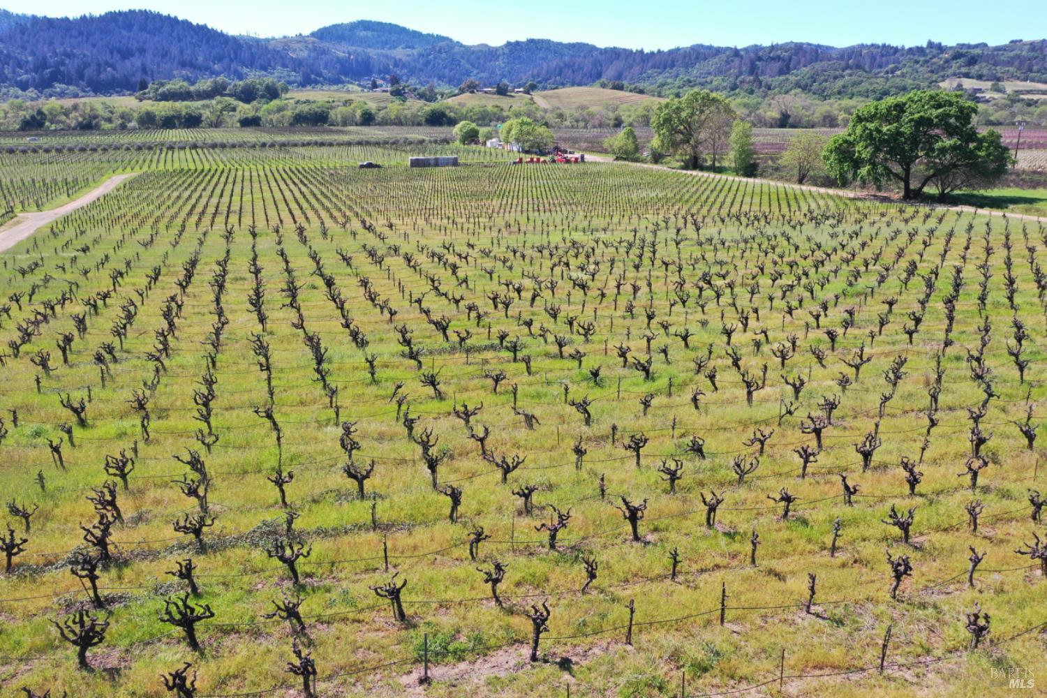 4304 Dry Creek Road Healdsburg, CA 95448 - Photo 43 of 59