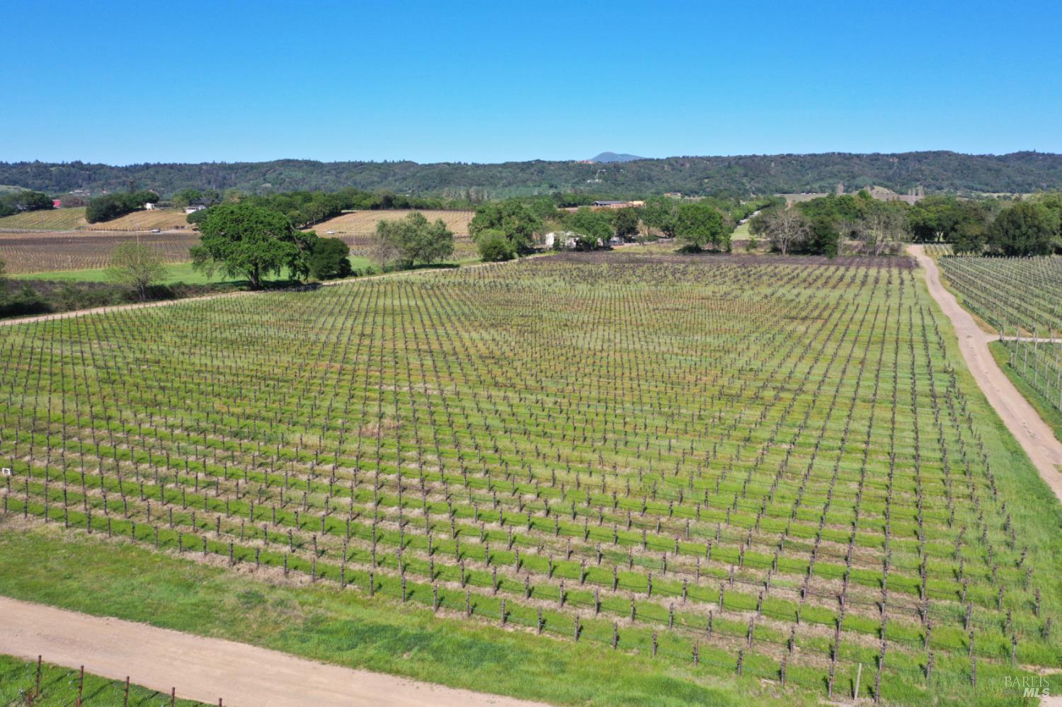4304 Dry Creek Road Healdsburg, CA 95448 - Photo 48 of 59