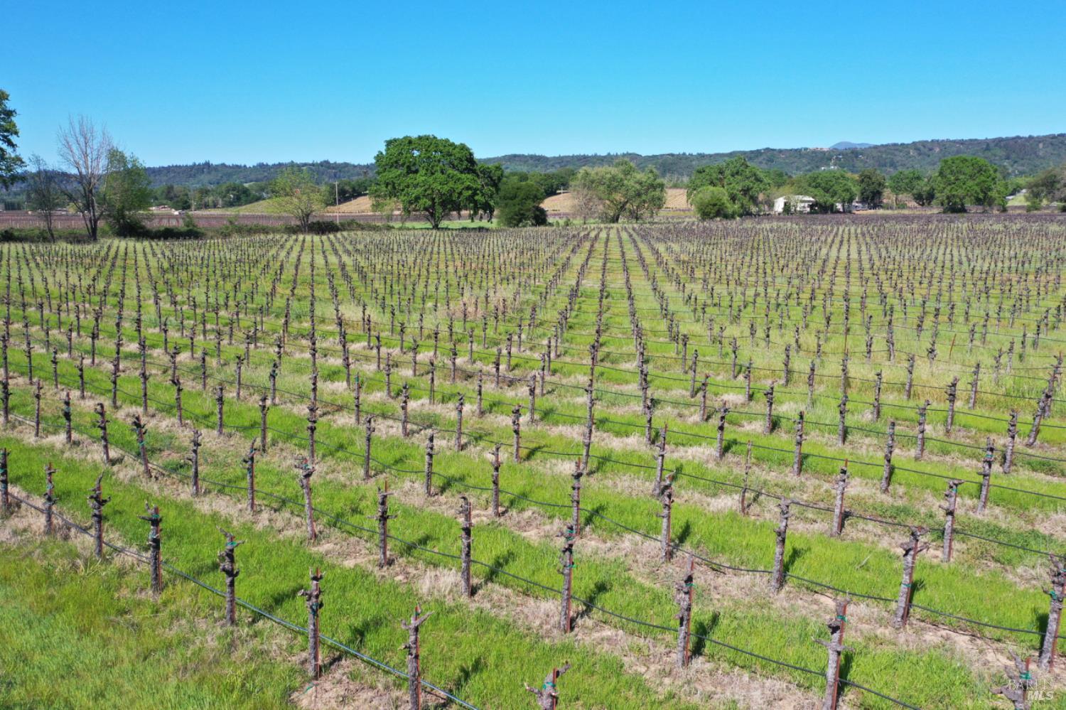 4304 Dry Creek Road Healdsburg, CA 95448 - Photo 49 of 59