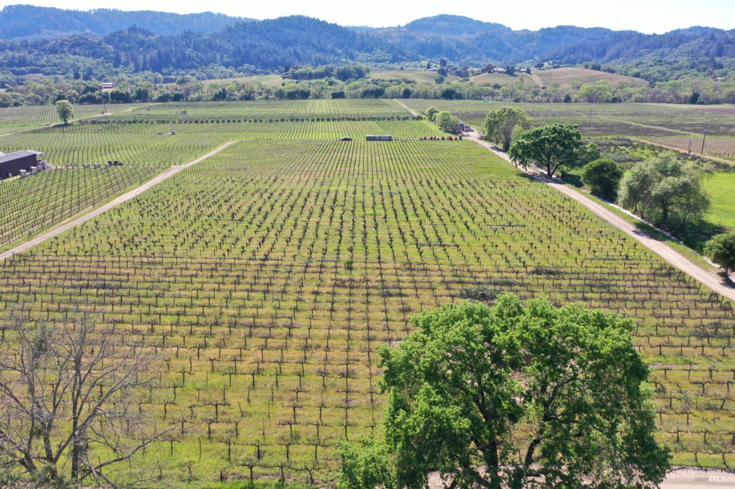 4304 Dry Creek Road Healdsburg, CA 95448 - Photo 54 of 59