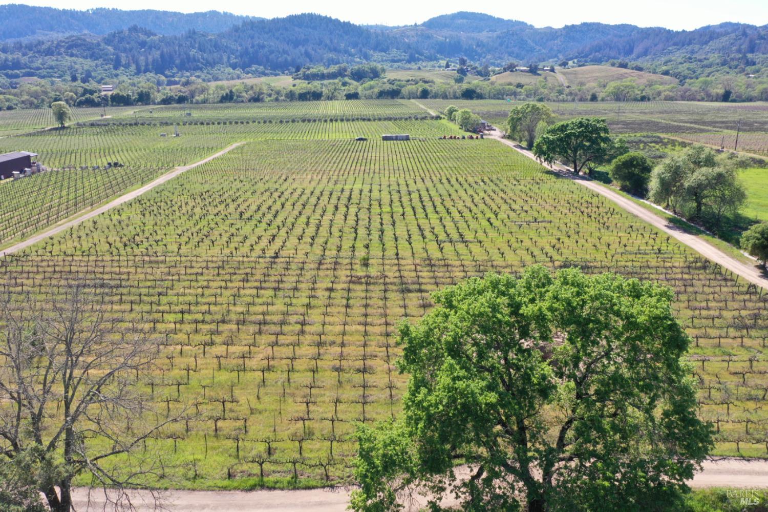 4304 Dry Creek Road Healdsburg, CA 95448 - Photo 55 of 59