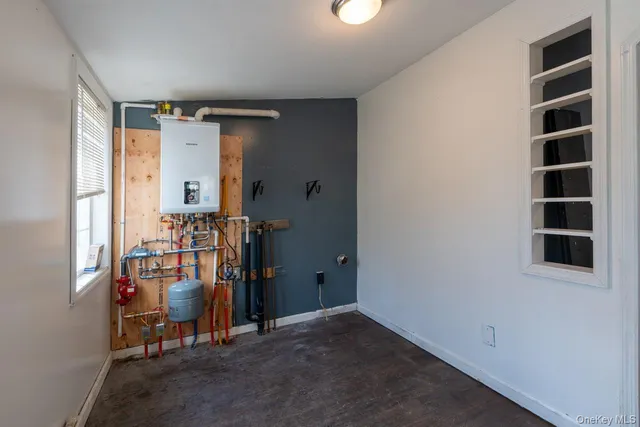 a view of a yard with plants and a large tree