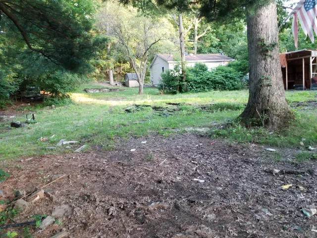 a view of a yard with lots of trees