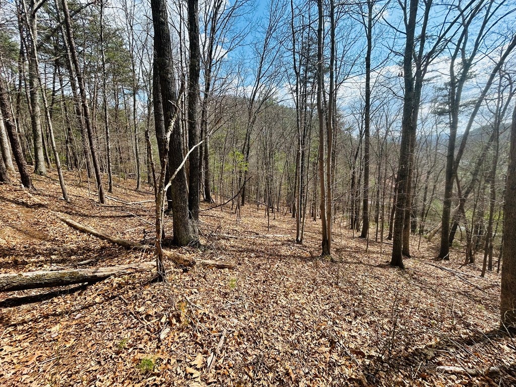 Tbd Julia Simpkins Road, Unit 118 Hiwassee, VA 24347 - Photo 17 of 22 Gallery Image 17