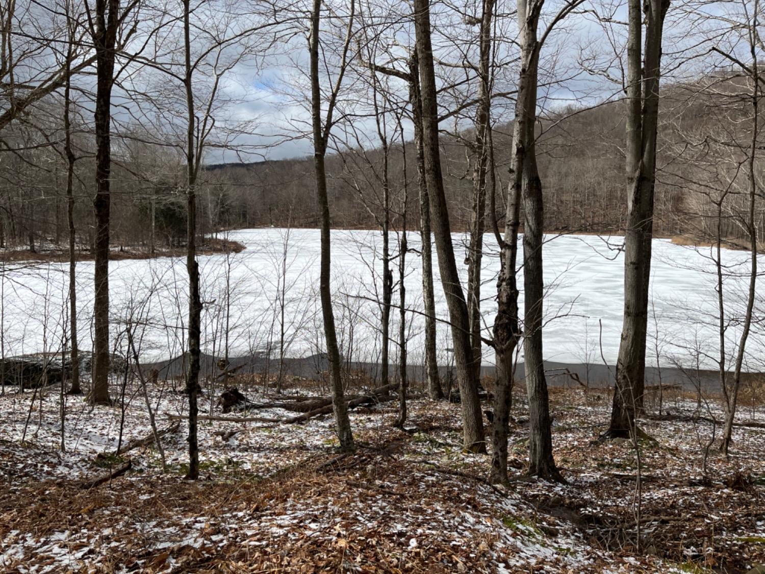 0 Post Road Andes, NY 13731 - Photo 1 of 1 Gallery Image 1