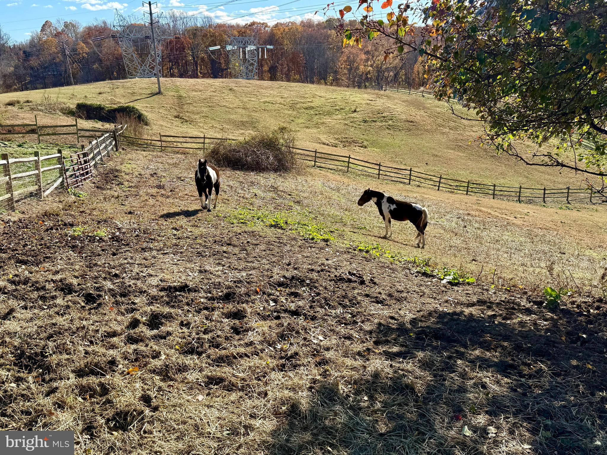 21 Treiber Lane Harwood, MD 20776 - Photo 46 of 60