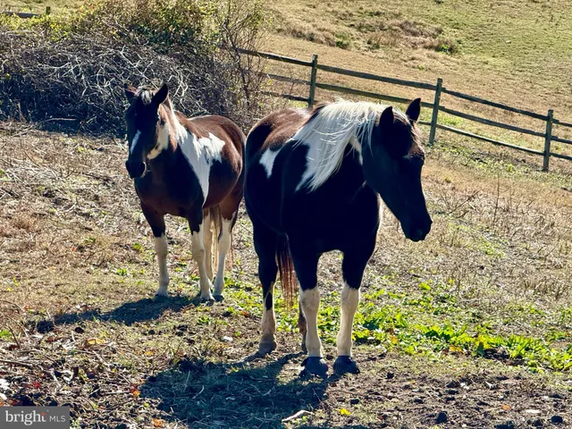 $1,600,000 | 21 Treiber Lane, Harwood, MD 20776