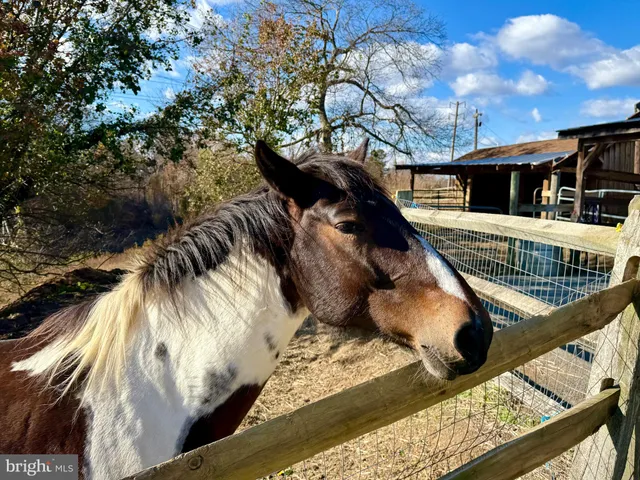 $1,600,000 | 21 Treiber Lane, Harwood, MD 20776