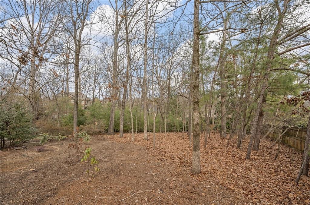 130 Belvedere Court Atlanta, GA 30350 - Photo 67 of 68