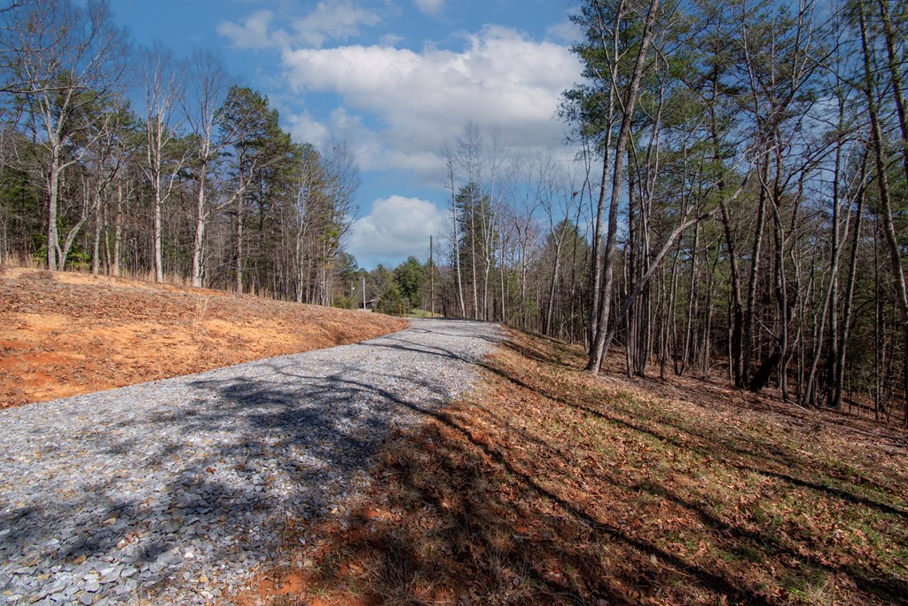 1456 Orton Road Murphy, NC 28906 - Photo 12 of 14