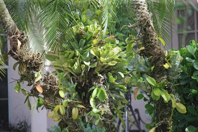 $20,000 | 14239 Calypso Lane, Wellington, FL 33414