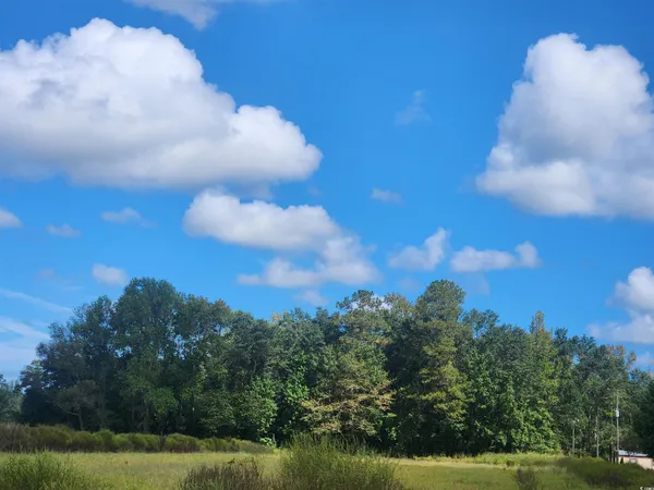 $65,900 | Tbd Goff Road, Aynor, SC 29511