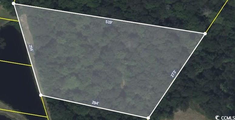 Tbd Goff Road Aynor, SC 29511 - Photo 3 of 5