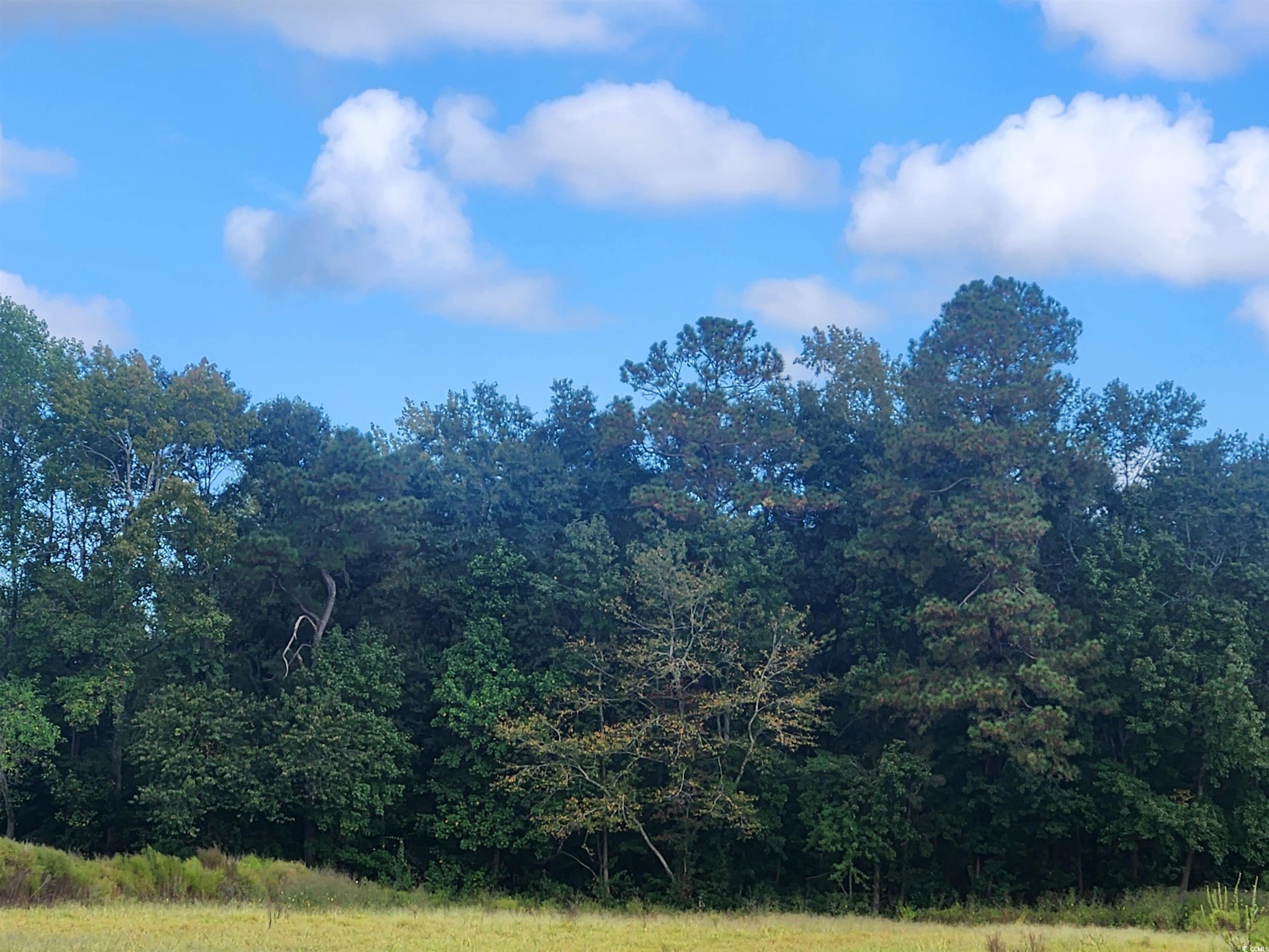Tbd Goff Road Aynor, SC 29511 - Photo 5 of 5