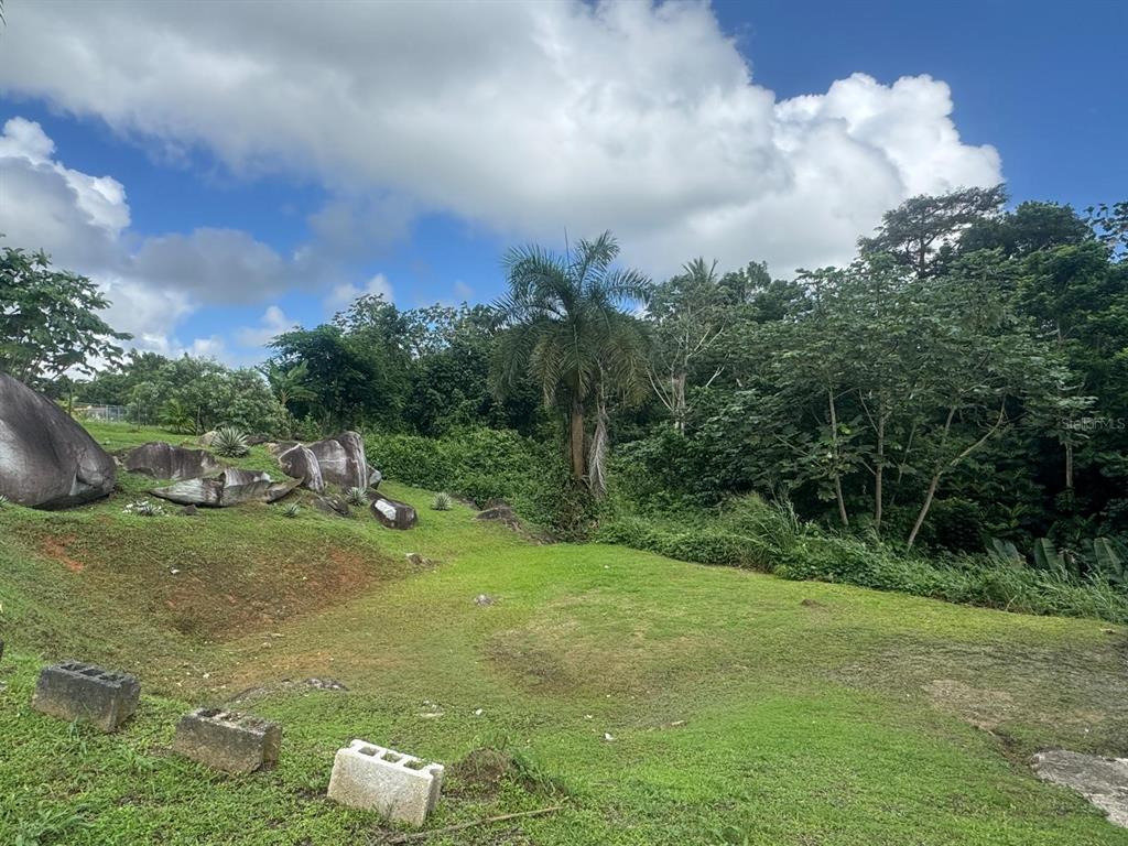 908 Bo Tejas, Unit 7 Humacao, PR 00791 - Photo 7 of 7 a backyard of a house with lots of green space