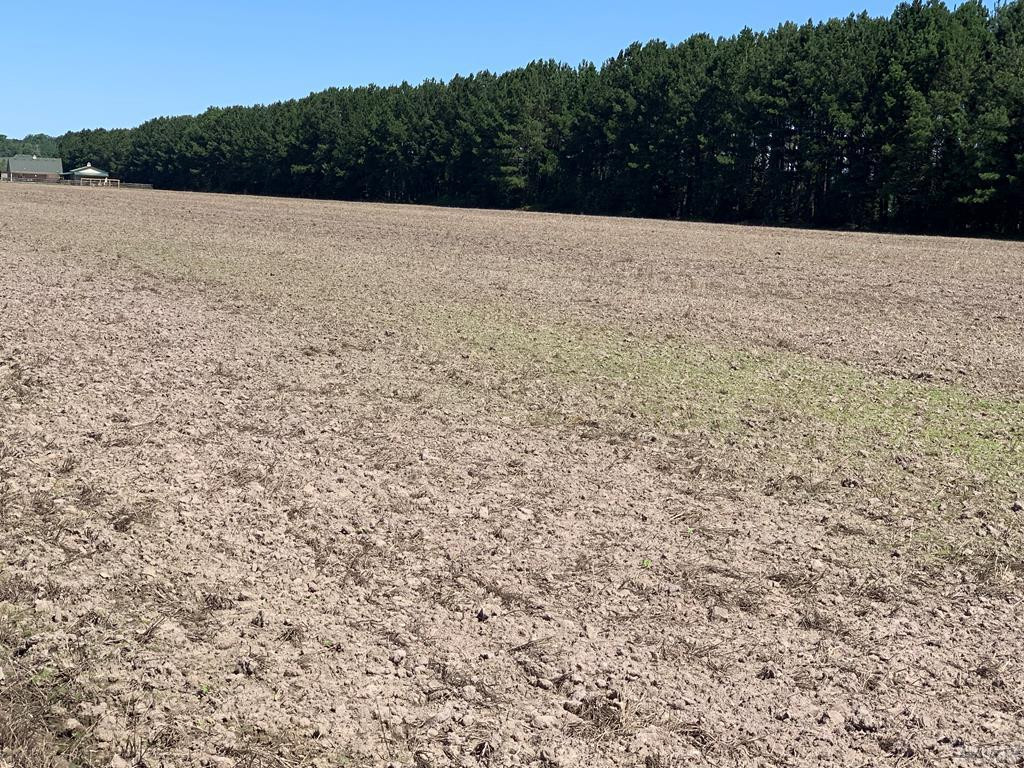 Lot 3 Puddin Ridge Road Moyock, NC 27958 - Photo 1 of 4 Main View