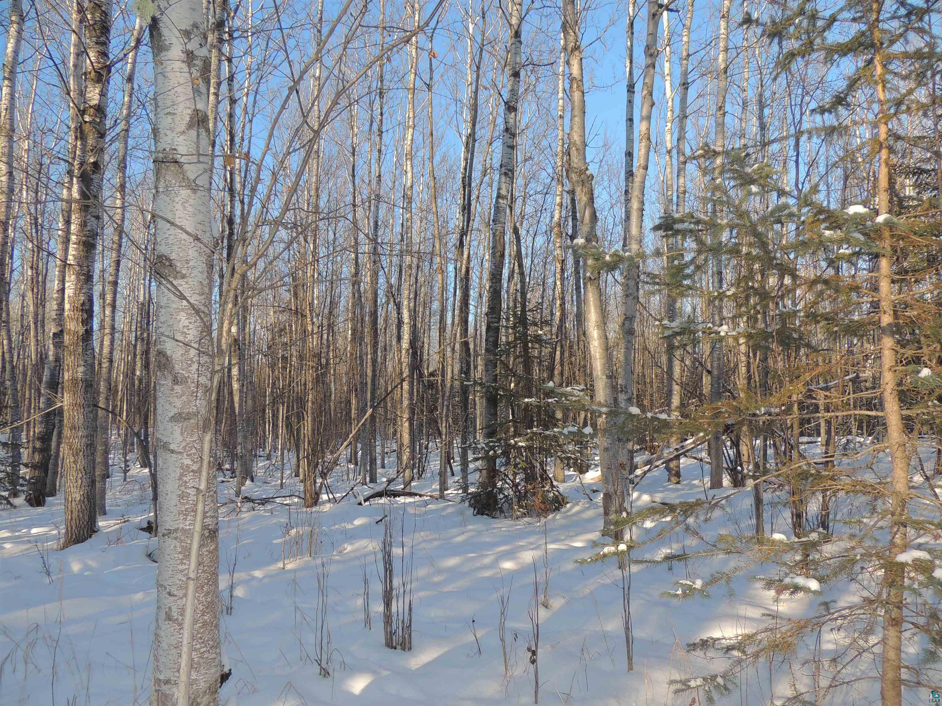 183 Linnell Road Grand Marais, MN 55604 - Photo 11 of 16