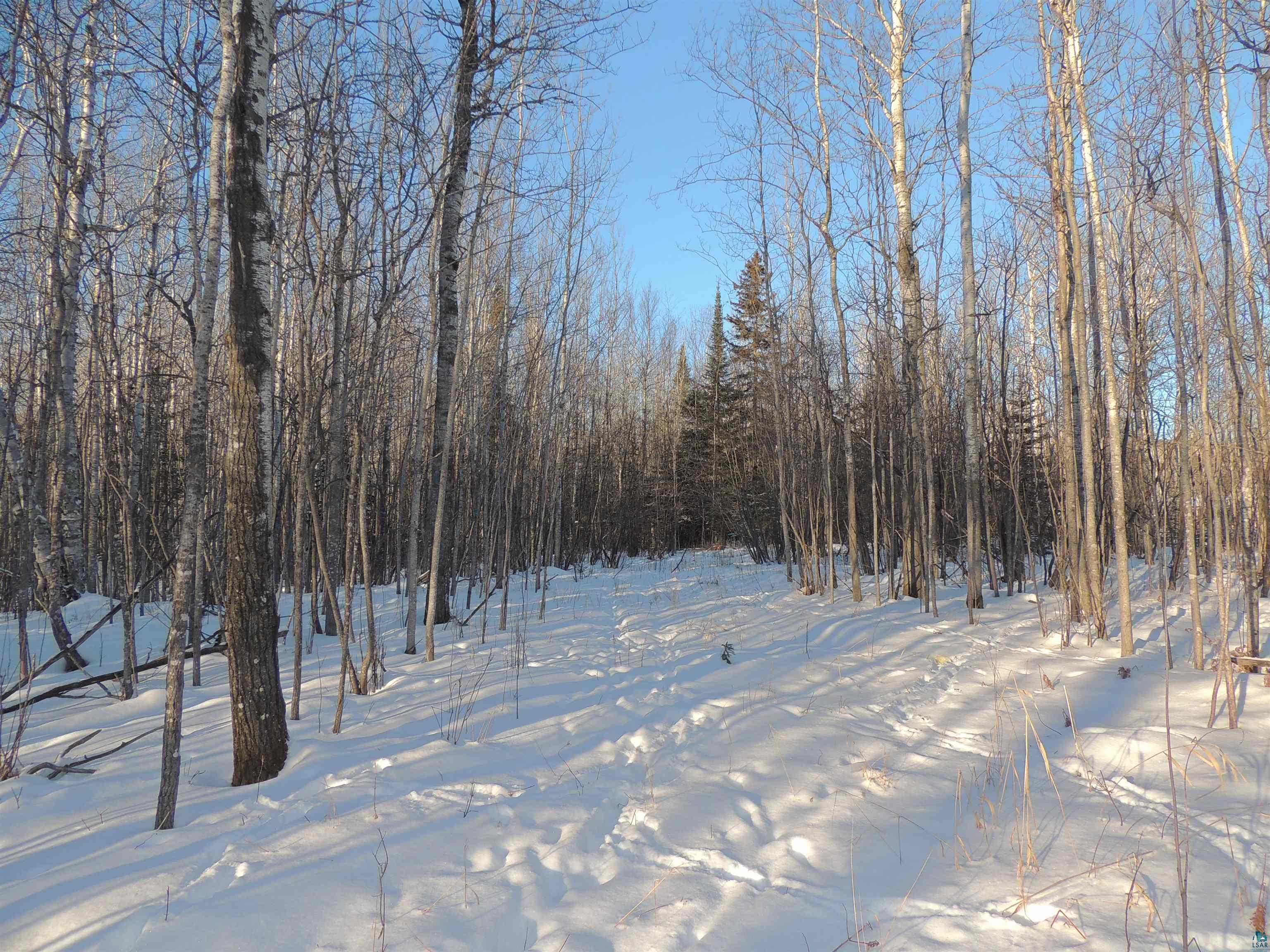 183 Linnell Road Grand Marais, MN 55604 - Photo 2 of 16