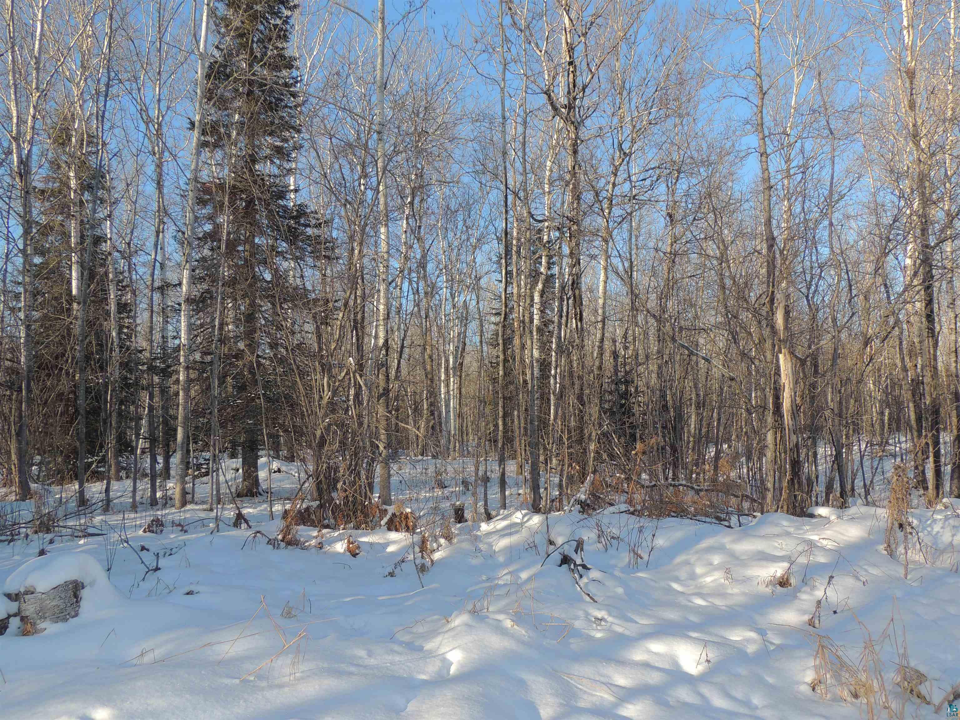 183 Linnell Road Grand Marais, MN 55604 - Photo 3 of 16