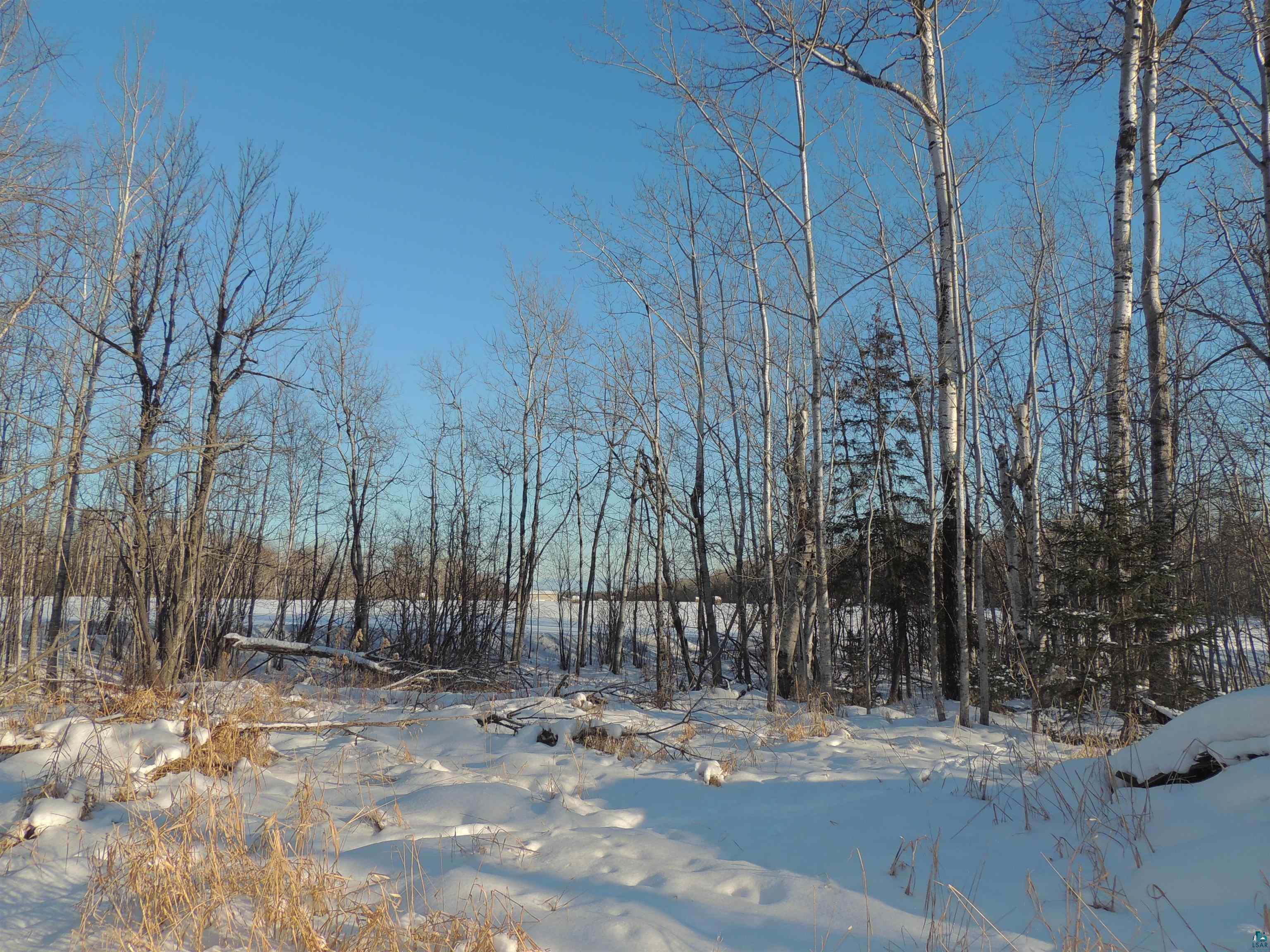 183 Linnell Road Grand Marais, MN 55604 - Photo 4 of 16