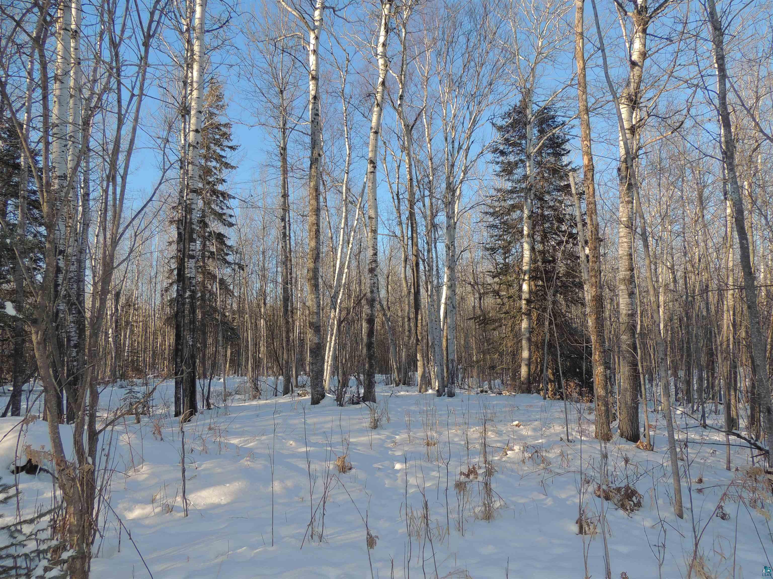 183 Linnell Road Grand Marais, MN 55604 - Photo 6 of 16