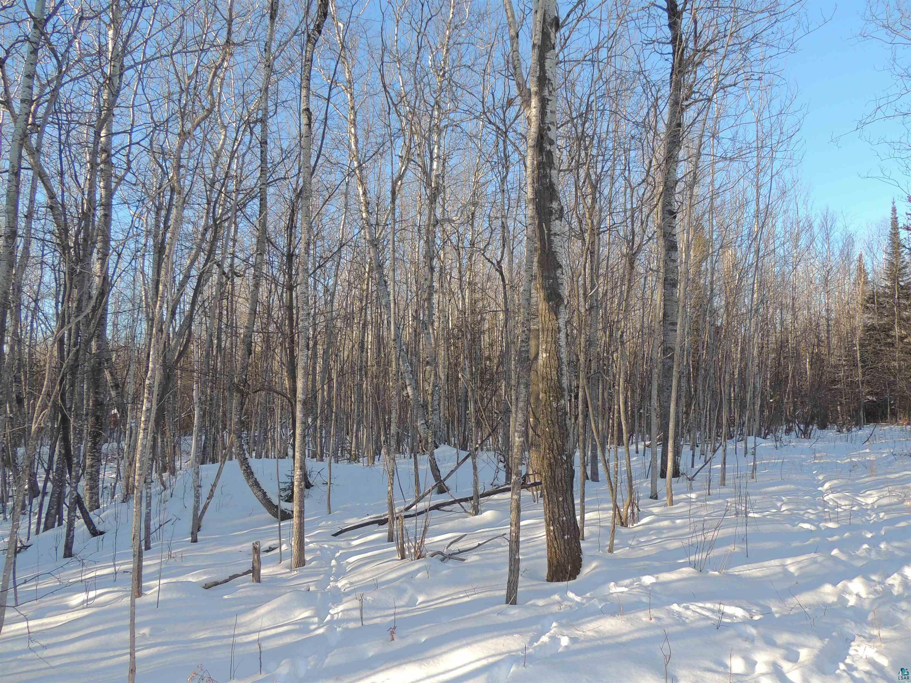 183 Linnell Road Grand Marais, MN 55604 - Photo 7 of 16