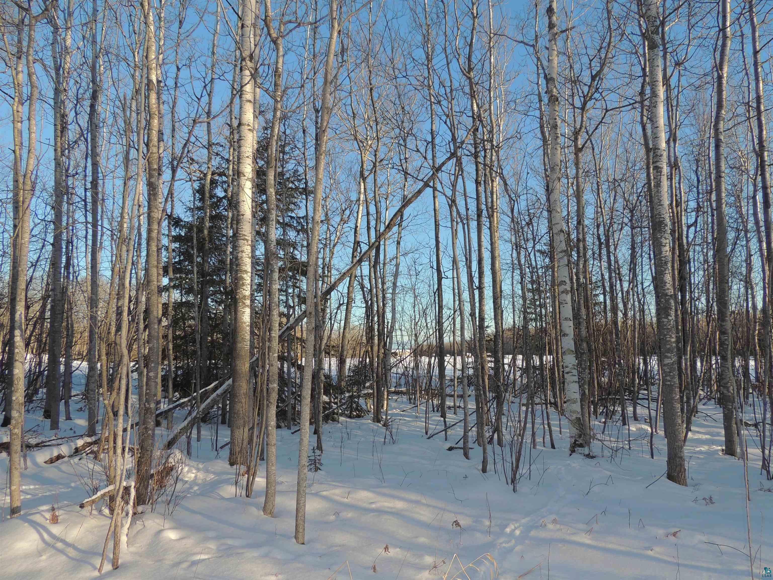 183 Linnell Road Grand Marais, MN 55604 - Photo 8 of 16