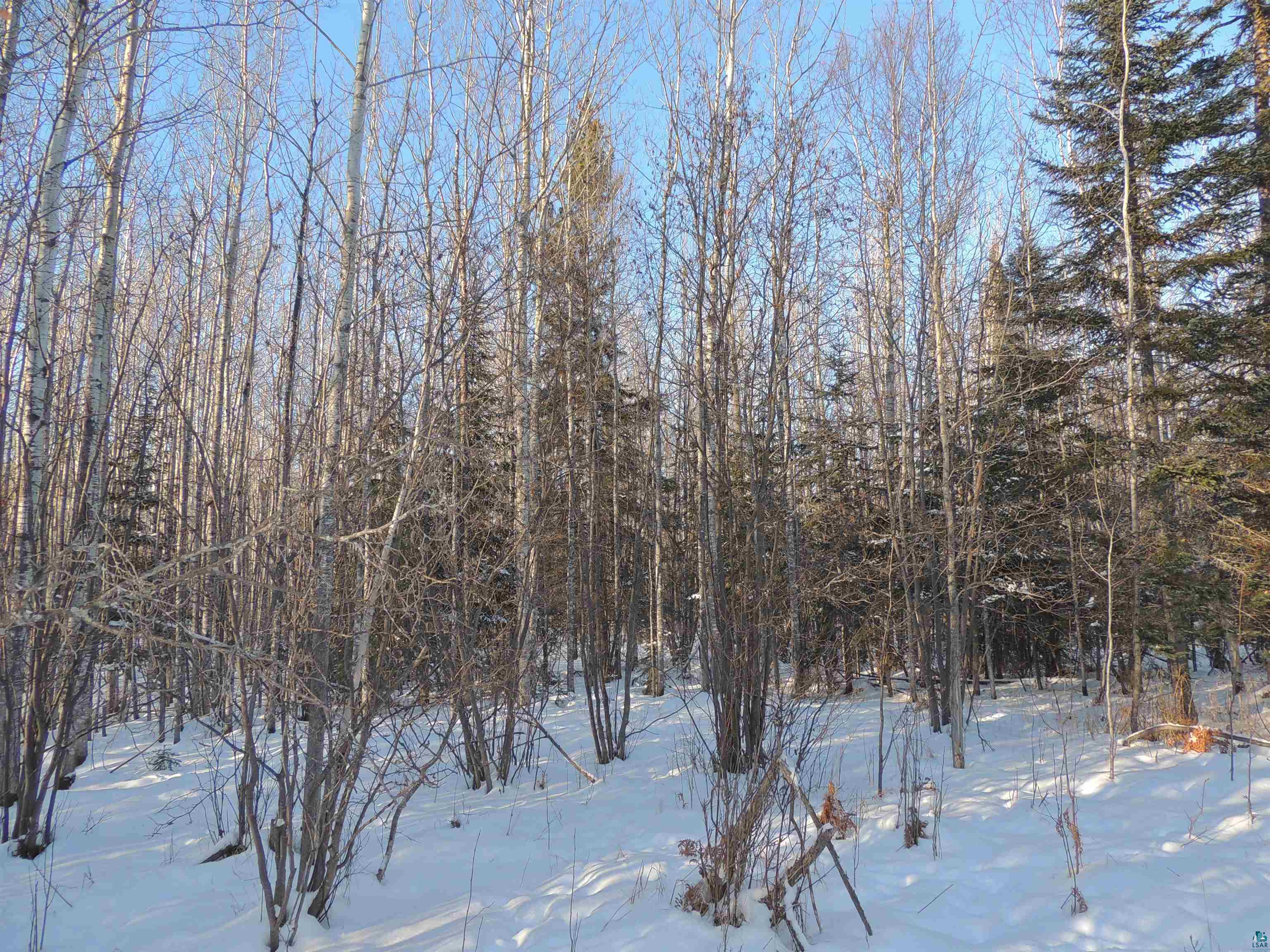 183 Linnell Road Grand Marais, MN 55604 - Photo 9 of 16