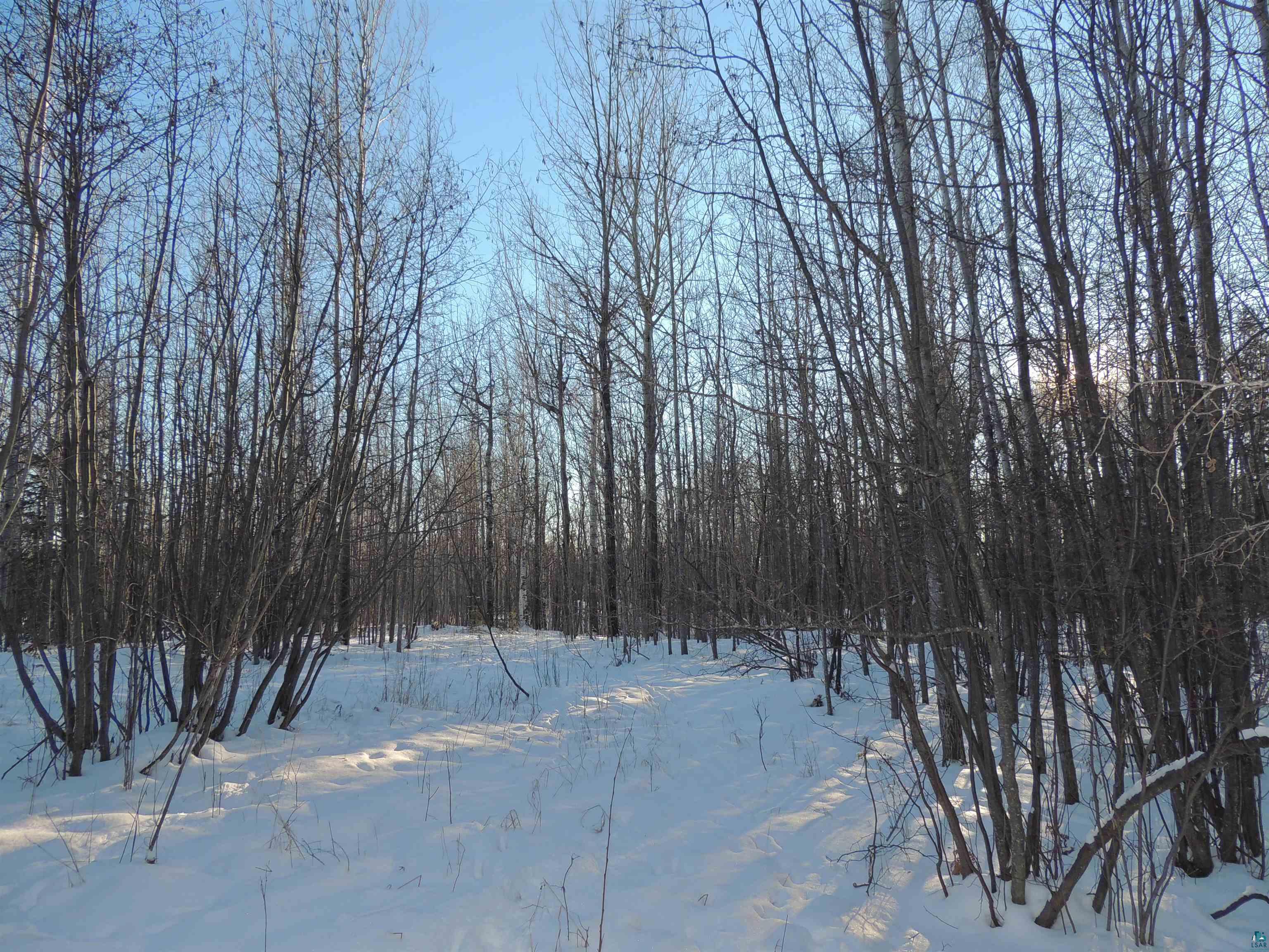 183 Linnell Road Grand Marais, MN 55604 - Photo 10 of 16