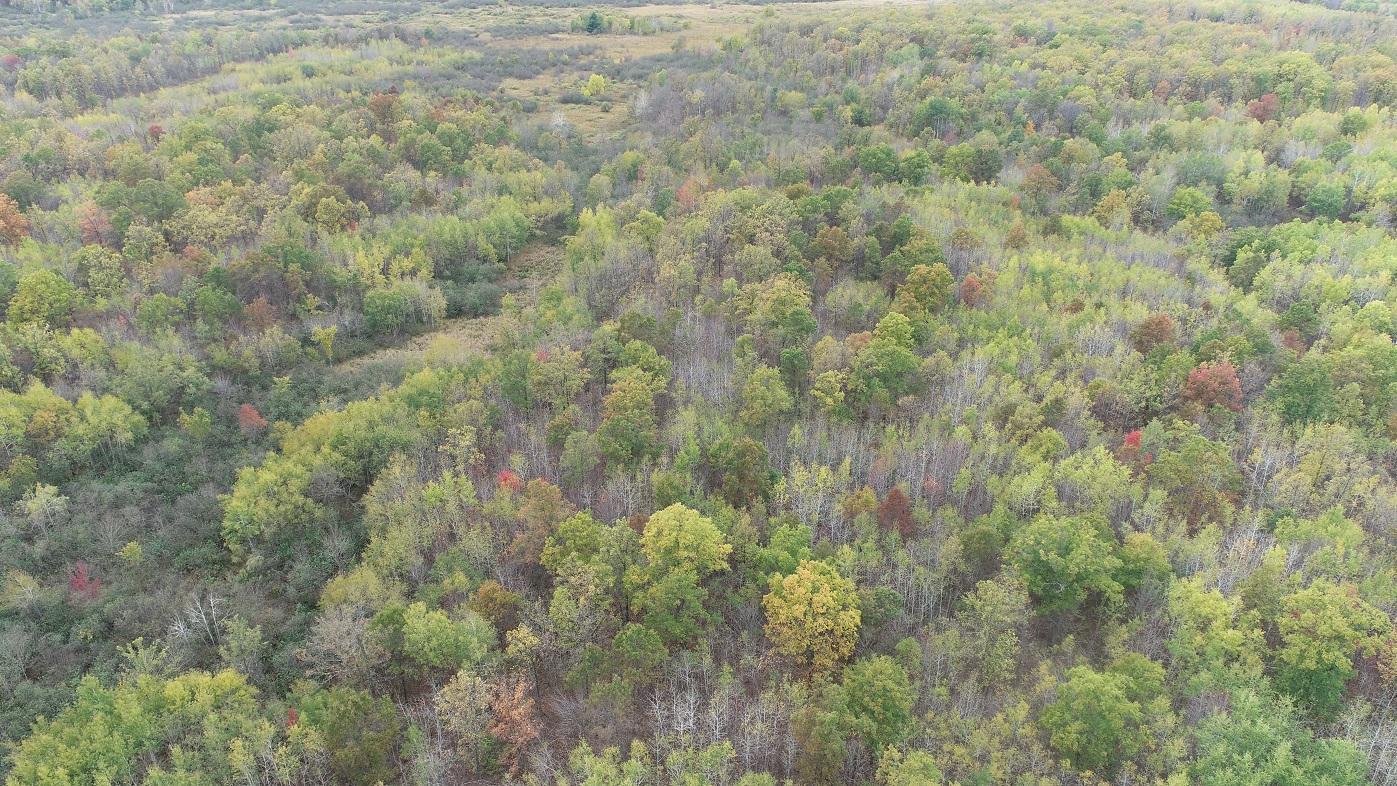 0 20th Avenue Cadott, WI 54727 - Photo 5 of 18