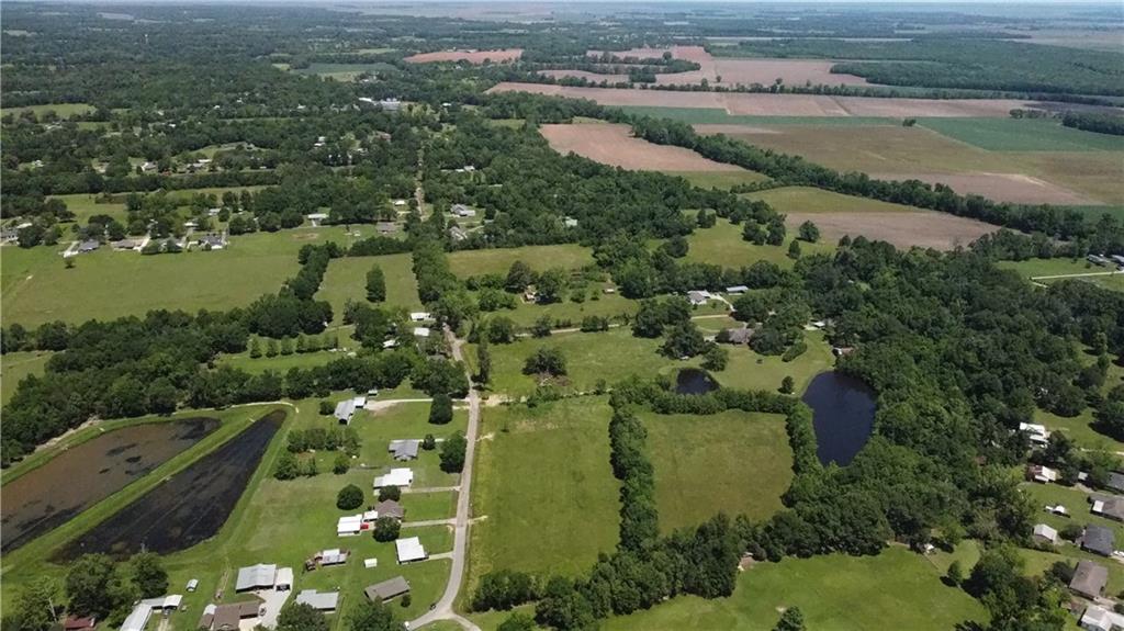 0 Anthony Grundy Road Marksville, LA 71351 - Photo 3 of 5