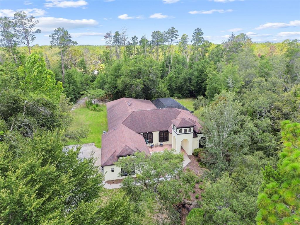 13503 Gopher Pond Court Hudson, FL 34669 - Photo 59 of 63