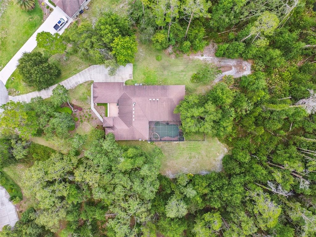 13503 Gopher Pond Court Hudson, FL 34669 - Photo 61 of 63