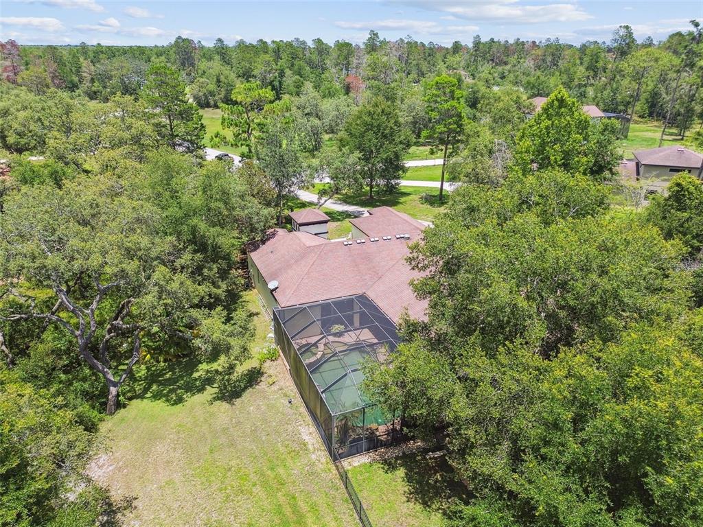 13503 Gopher Pond Court Hudson, FL 34669 - Photo 63 of 63