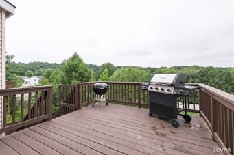 1770 Spring View Terrace Ballwin, MO 63021 - Photo 33 of 34