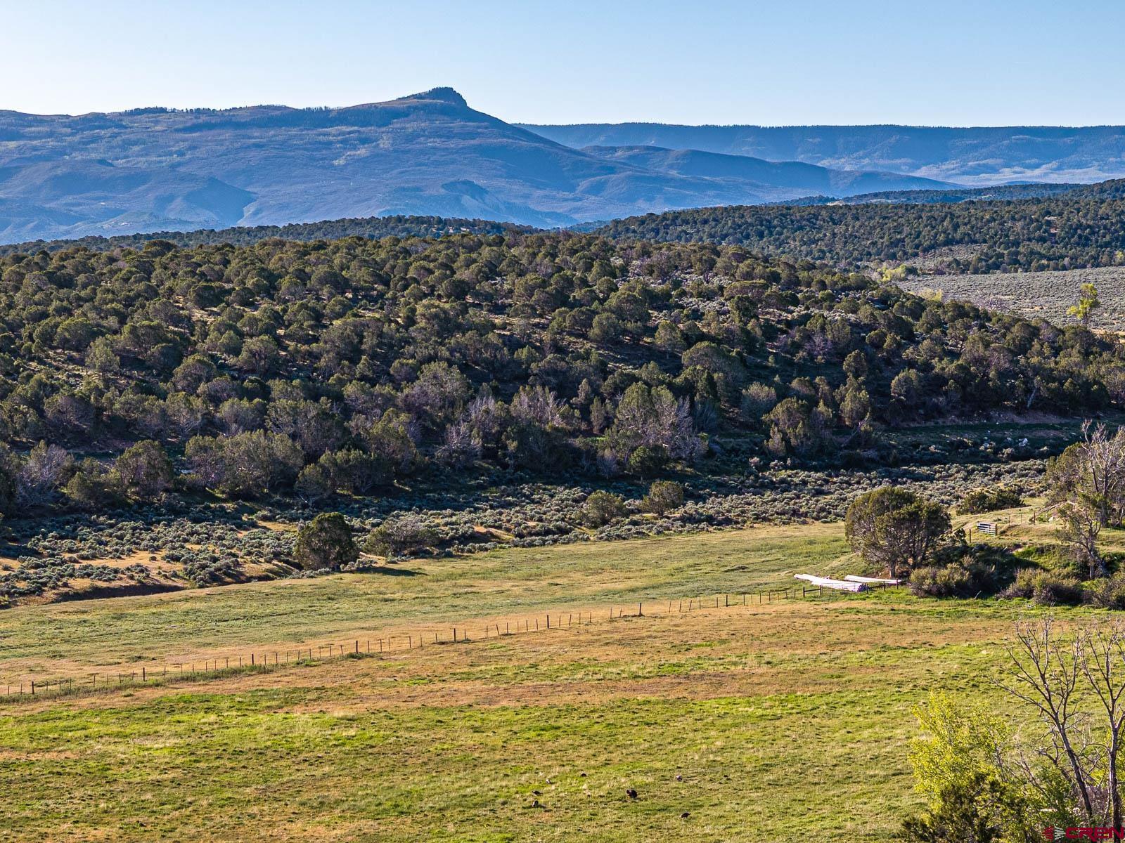 2741 7750th Road Crawford, CO 81415 - Photo 42 of 45