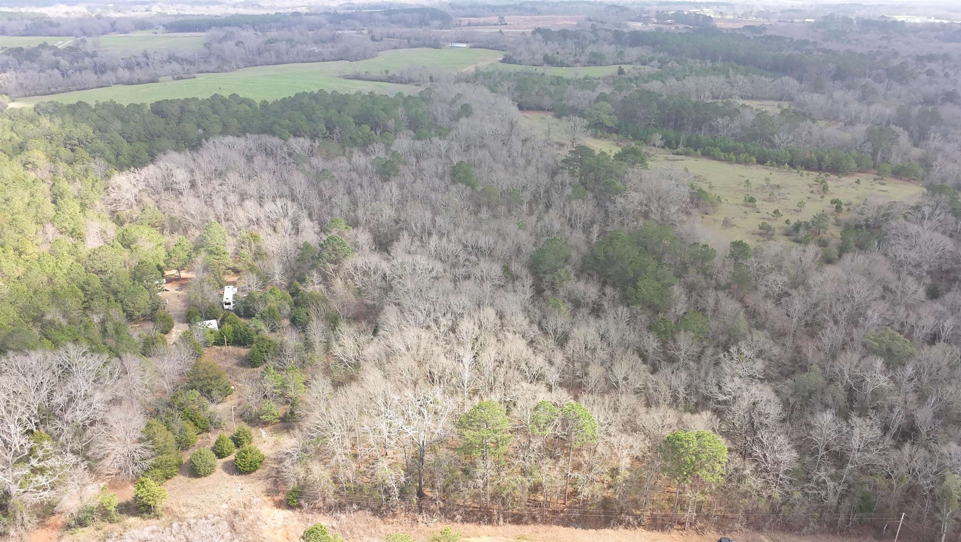 0 Piney Grove Road Opp, AL 36467 - Photo 15 of 20 Gallery Image 15