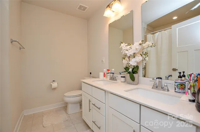 a view of a potted plant in front of a house