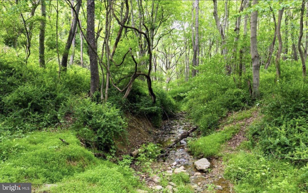 17417 Masemore Road, Unit 2 Parkton, MD 21120 - Photo 7 of 7 Exterior Rear
