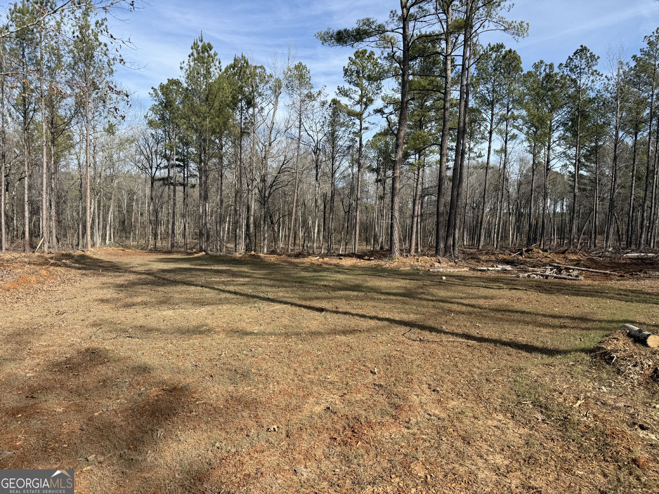 Truslow South Durham Mill Road Jeffersonville, GA 31044 - Photo 22 of 49 a view of outdoor space with trees