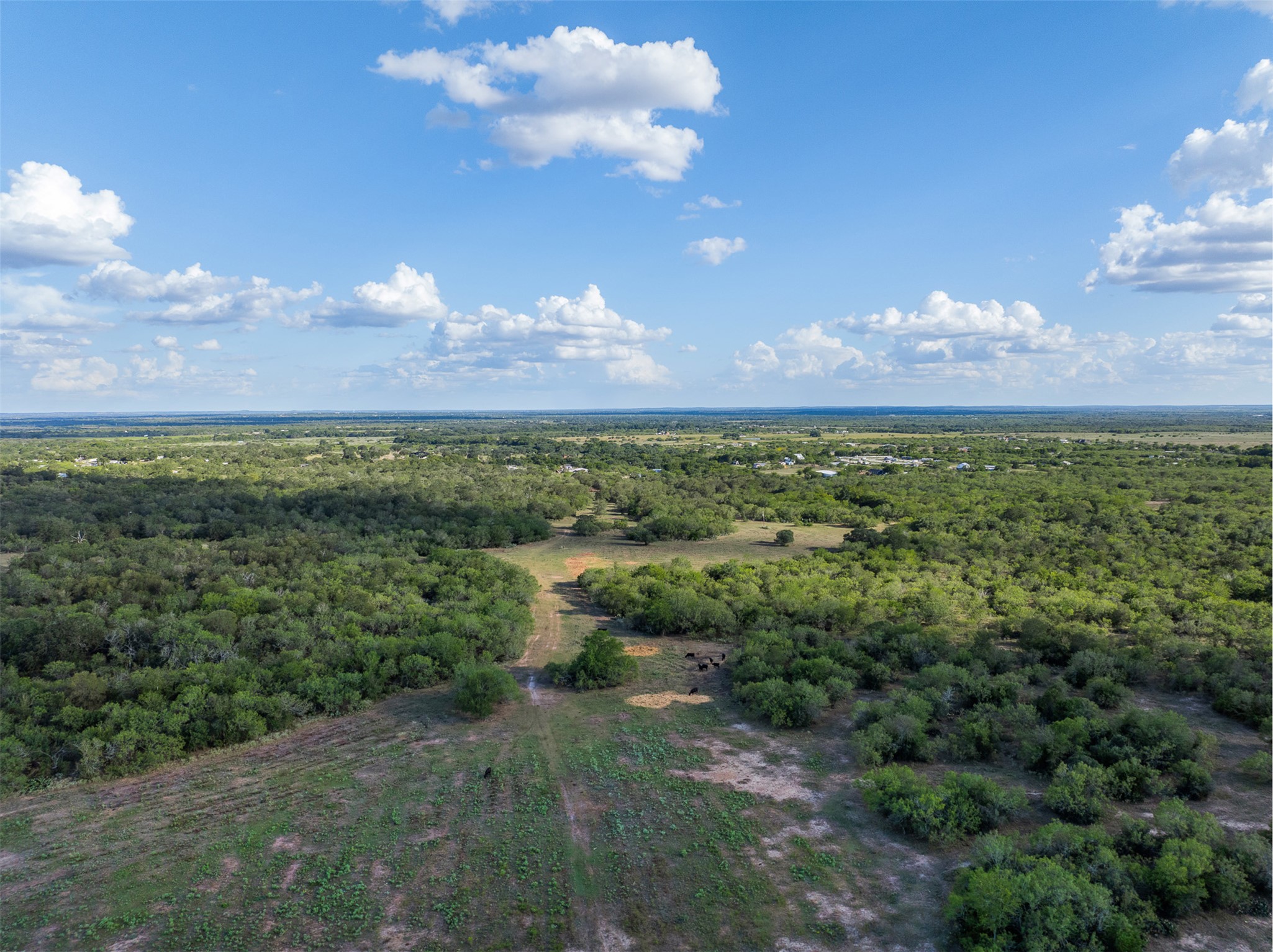 399 Seals Creek Road Lockhart, TX 78644 - Photo 22 of 40 Aerial view of a forest