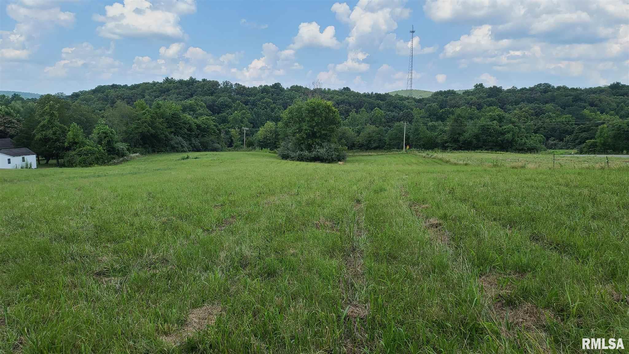 10 Henry Hicks Road Herod, IL 62947 - Photo 8 of 34