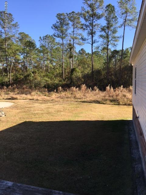 325 Nelson Park Road Maple Hill, NC 28454 - Photo 1 of 24 Back Yard