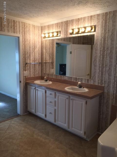 325 Nelson Park Road Maple Hill, NC 28454 - Photo 12 of 24 Master 2