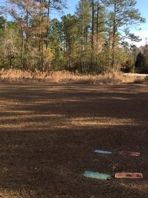 325 Nelson Park Road Maple Hill, NC 28454 - Photo 3 of 24 Side Yard