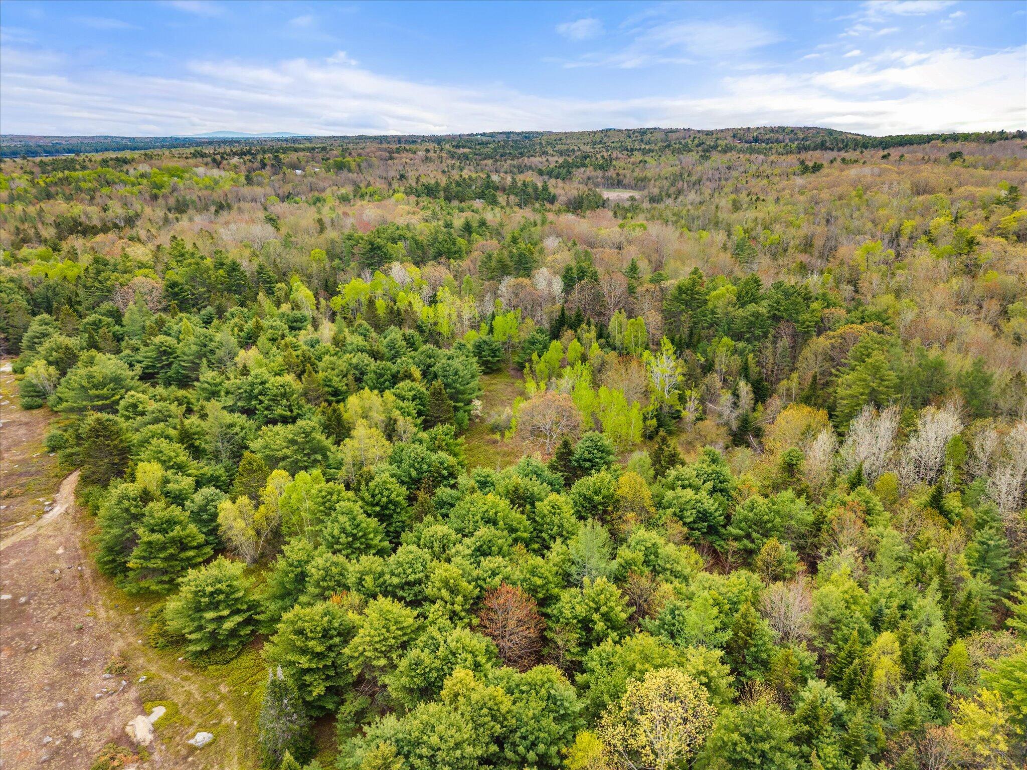 6 Map Road Orland, ME 04472 - Photo 14 of 22 Map 6, Lot 31 C Cedar Swamp Rd.