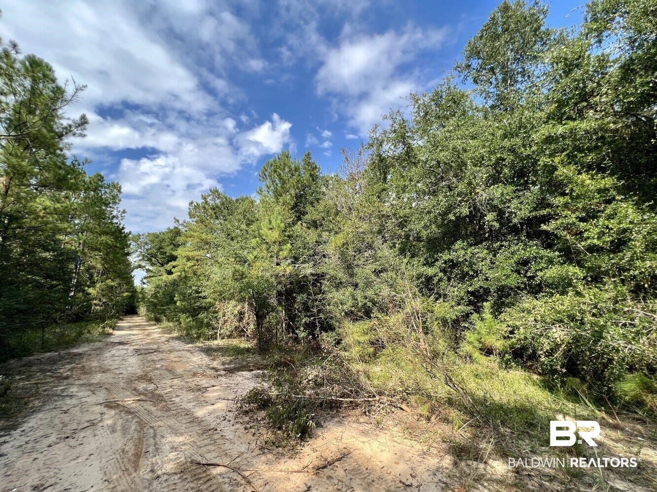 0 Bear Fork Road Mobile, AL 36618 - Photo 17 of 50